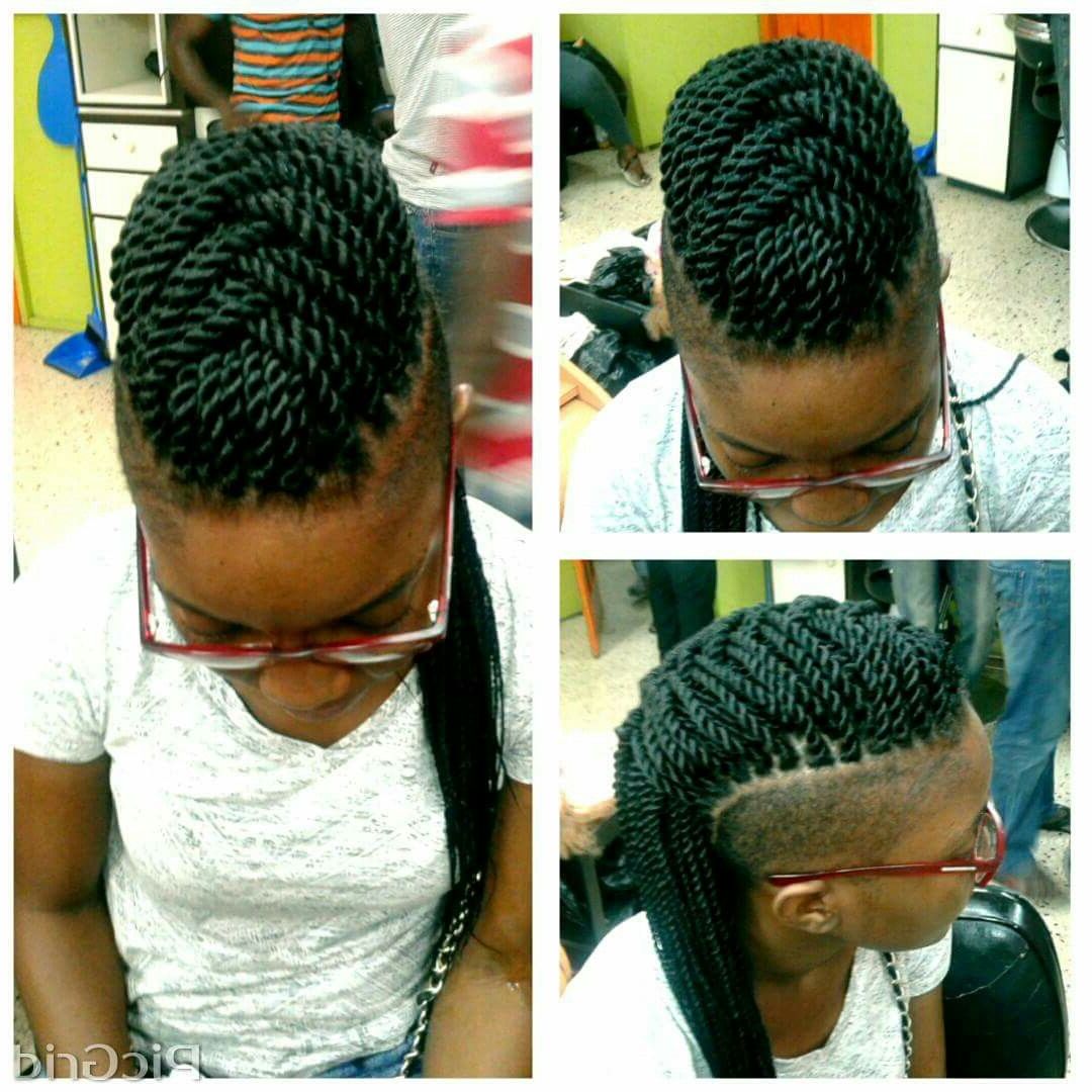 Pin On Braids Intended For 2020 Twisted Braids Mohawk Hairstyles (View 1 of 20)