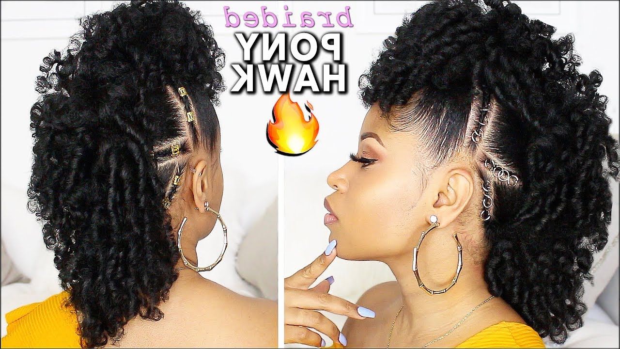 Recent Natural Curls Mohawk Hairstyles Intended For Easy & Defined Curly Braided Mohawk! ⇢ Natural Hair Tutorial (View 7 of 20)