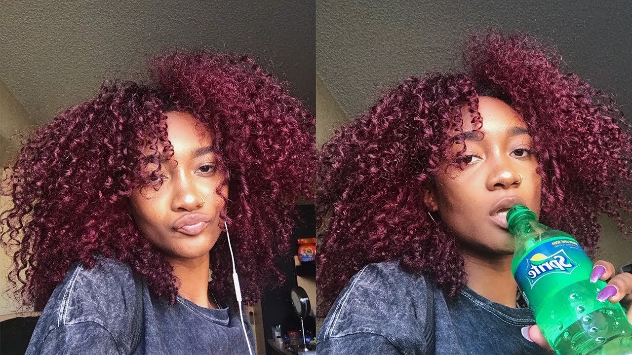 Best And Newest Plum Brown Pixie Haircuts For Naturally Curly Hair With Regard To Im Dying My Natural Curly Hair Purple??!! No Bleach Tatyana Ali (View 16 of 20)