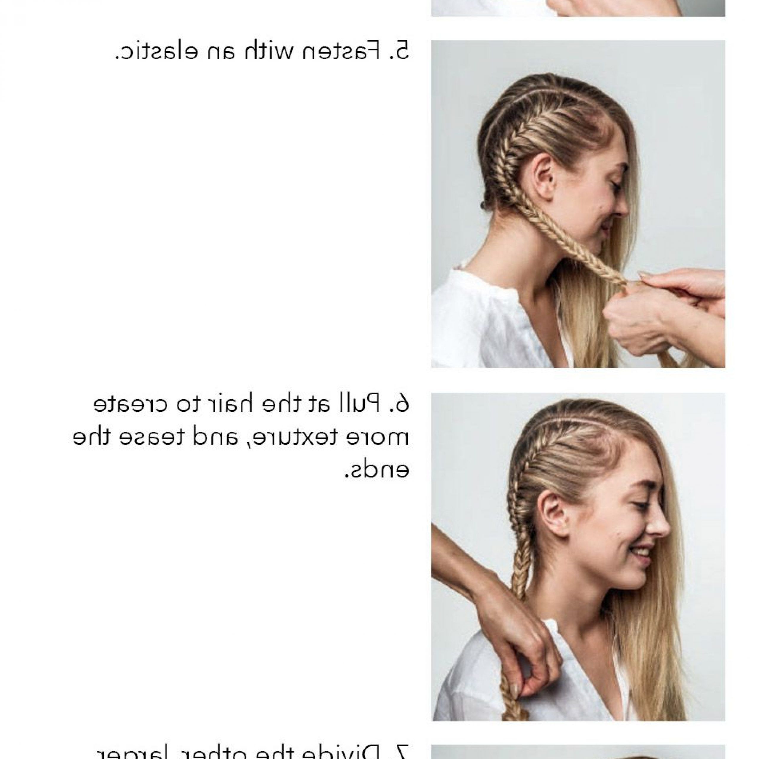 Braided Hairstyles (View 10 of 20)