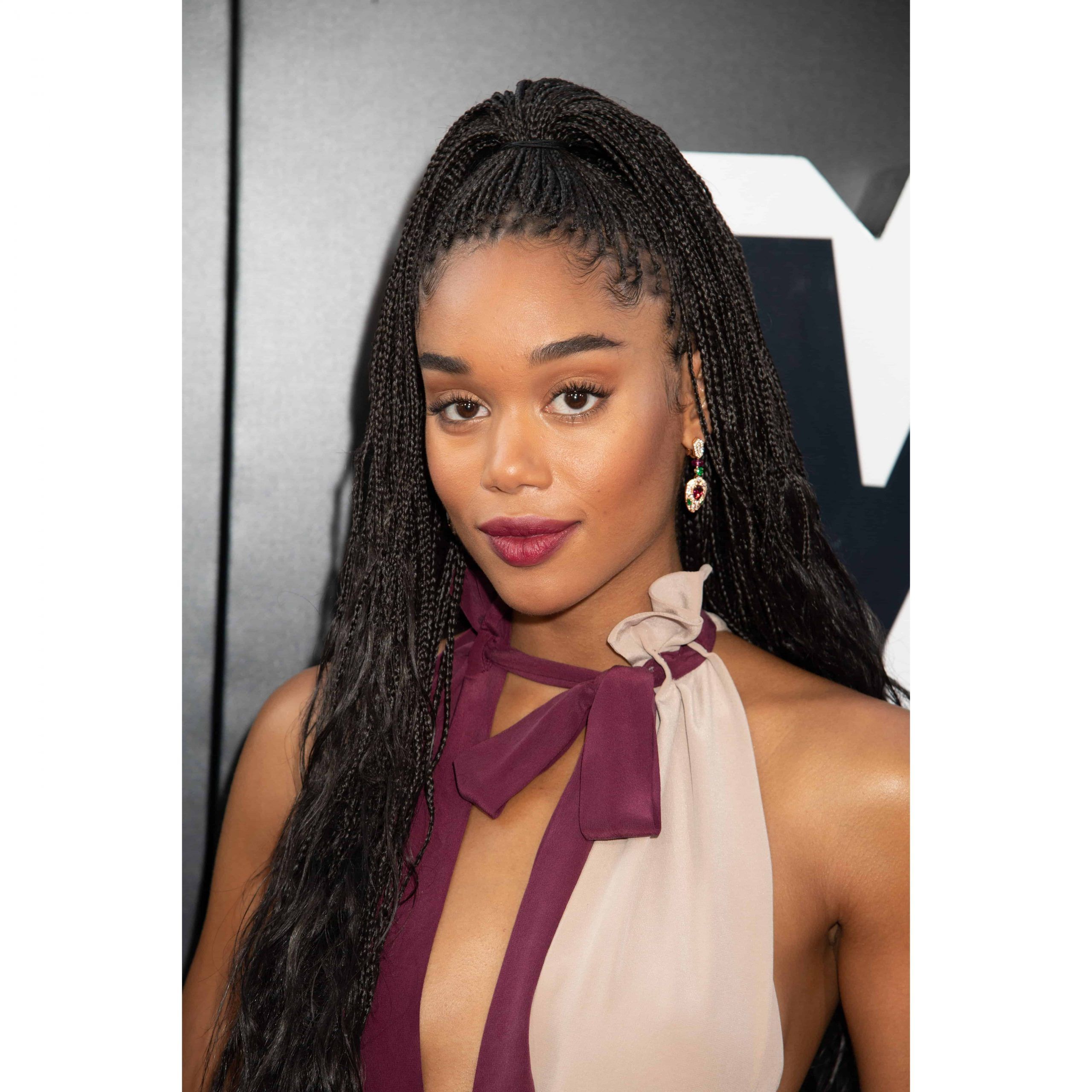 30 Black Braided Hairstyles You Can Try For A Fancy Pertaining To Current Loose Double Braids Hairstyles (View 16 of 20)