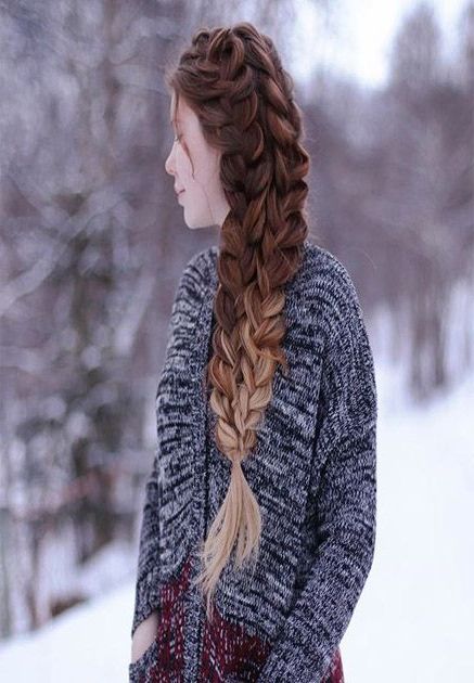Beautiful Double French Braids Hairstyles Ideas (View 11 of 20)