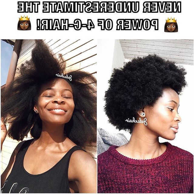 Hair On Black Women With Regard To Latest Dark Red Highlighted Finger Coils Hairstyles (View 7 of 20)