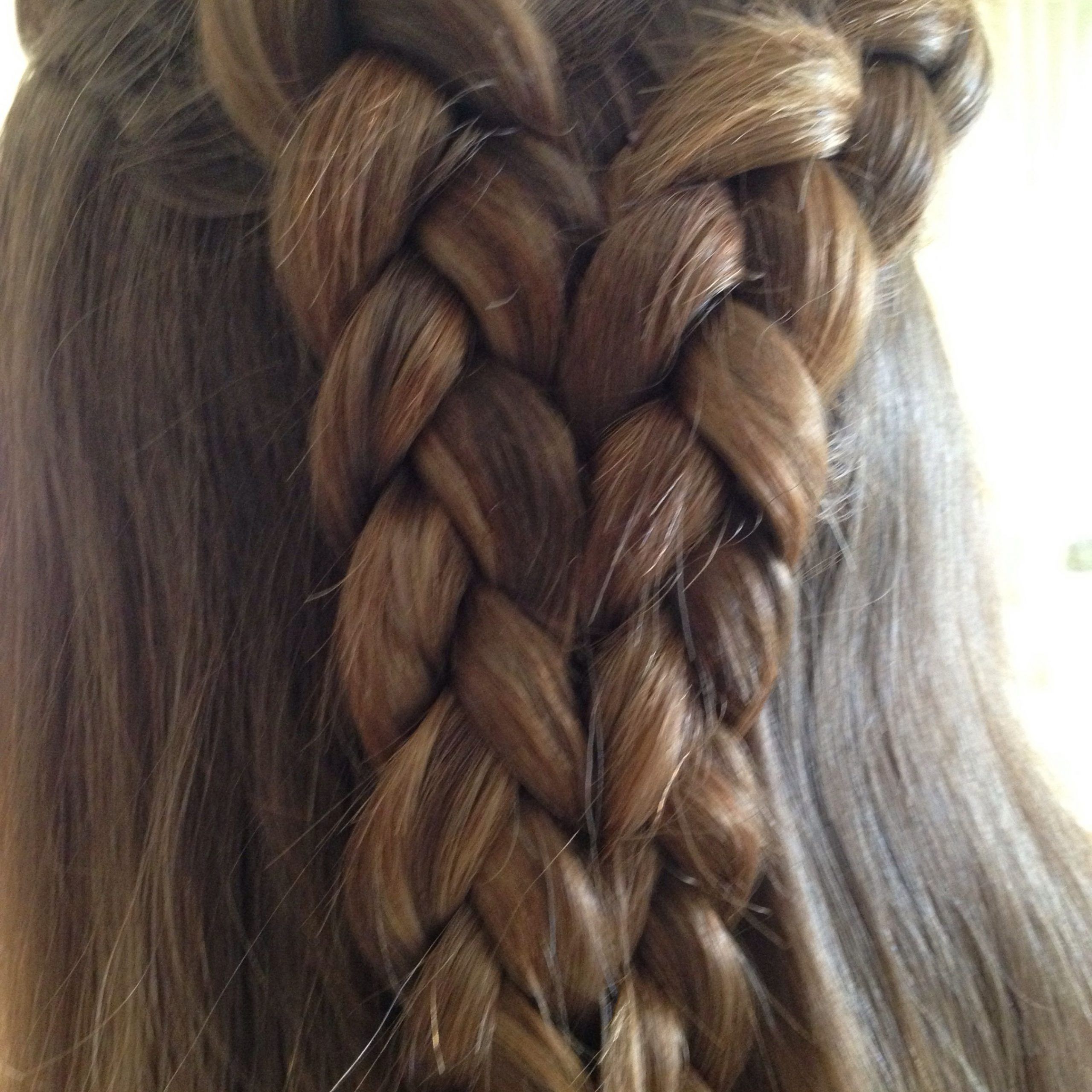 Popular Double Rose Braids Hairstyles With Double Dutch Braid (View 1 of 20)