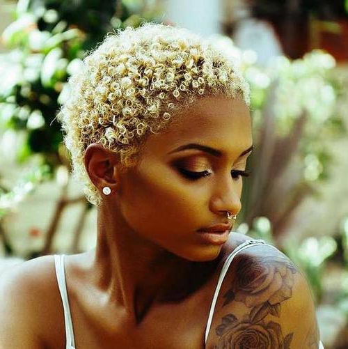 Well Known Ash Blonde Short Curls Hairstyles Pertaining To Fabulous Twa Hairstyles Inspiration For Short Natural Hair (Gallery 20 of 20)
