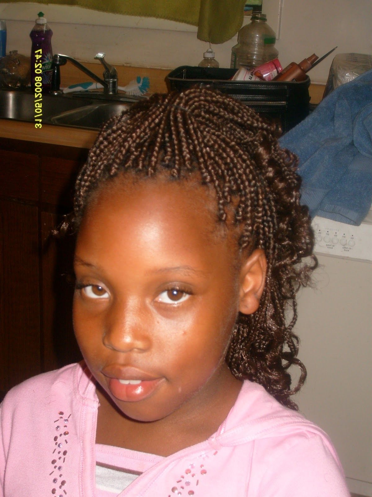 Best And Newest Tiny Braids Hairstyles Intended For Braided Hairstyles For Black Girls (View 8 of 20)