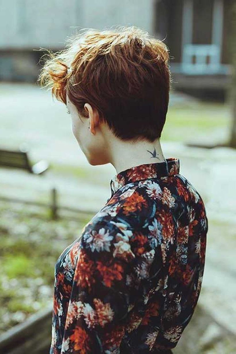 Most Recent Tapered Pixie Hairstyles With Extreme Undercut In Cool Back View Undercut Pixie Haircut Hairstyle Ideas  (View 7 of 20)