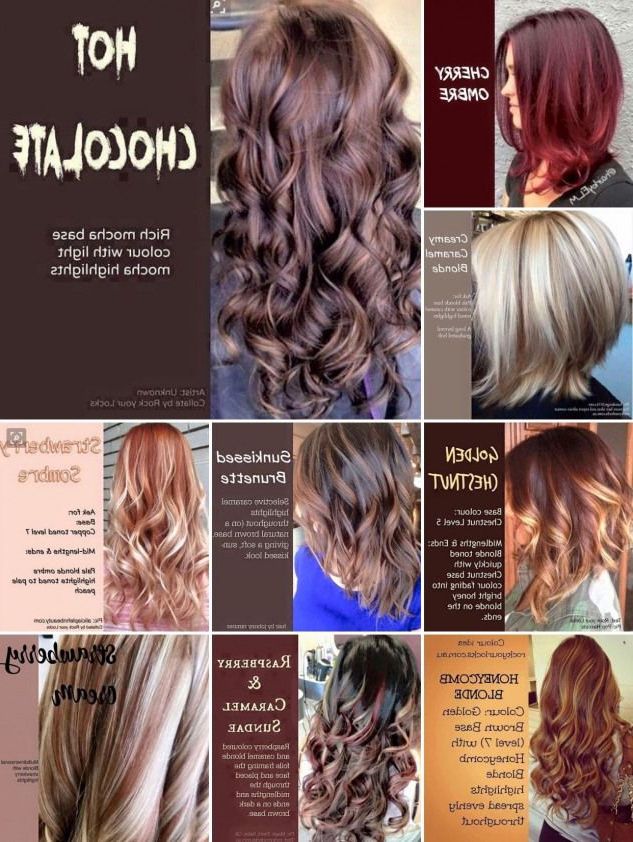 Level 7 Hair Color, Balayage Hair  Dark, Fall Hair For Most Current Raspberry Gold Sombre Haircuts (View 7 of 20)