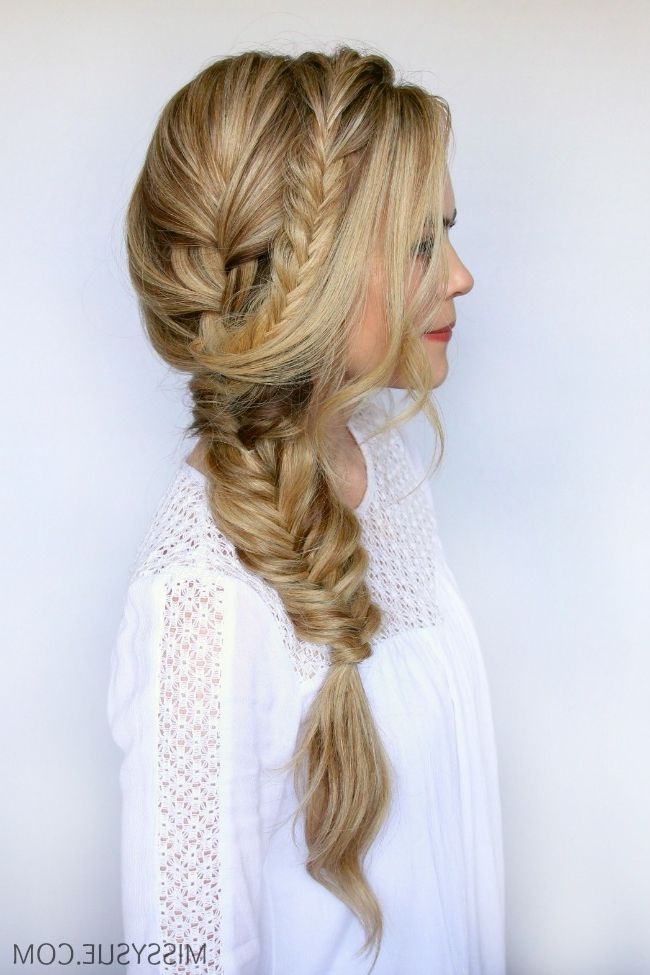 2019 Side Braid Updo For Long Hair With Regard To Mixed Side Braid (Gallery 13 of 15)