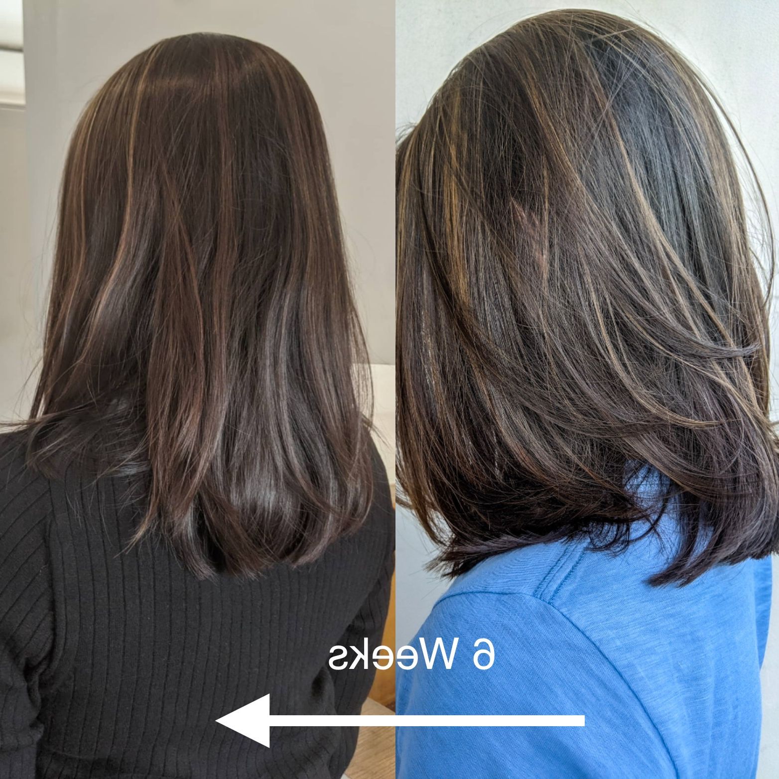2020 Medium One Length Haircut With This Is Exactly, Why Getting Hair Cut Every 6 Weeks Is Best For Medium  Hairstyles (View 14 of 20)