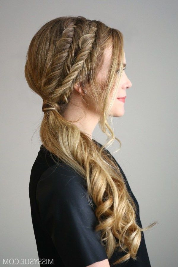 Featured Photo of 15 Photos Side Fishtail Braids for a Low Twist