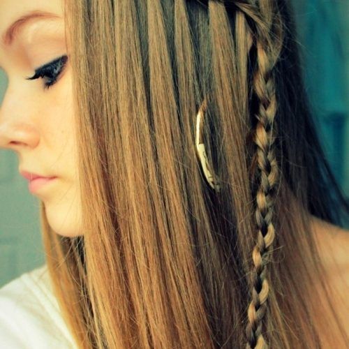 Braided Hairstyles For Straight Hair (Photo 5 of 15)