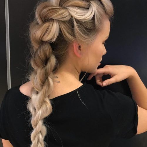 Long Braided Hairstyles (Photo 10 of 15)