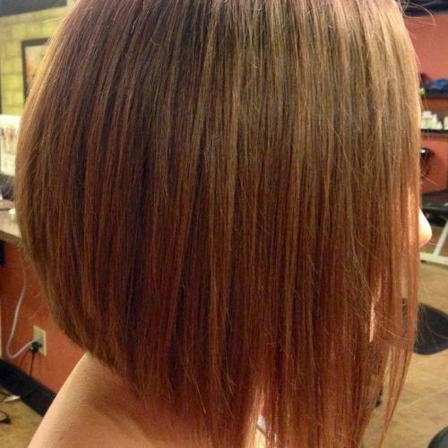 Long Inverted Bob Back View Hairstyles (Photo 6 of 15)