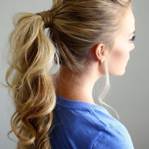 Braid Tied Updo Hairstyles (Photo 12 of 20)