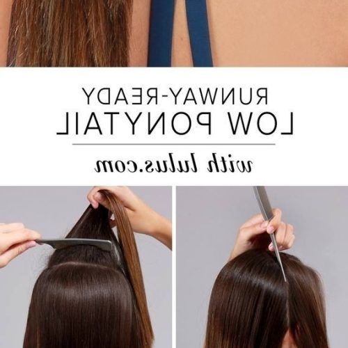Low Twisted Pony Hairstyles For Ombre Hair (Photo 16 of 20)