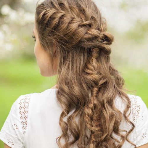 Braids With Curls Hairstyles (Photo 15 of 20)