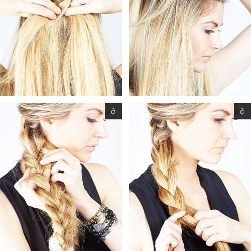 Fishtail Side Braided Hairstyles (Photo 17 of 20)