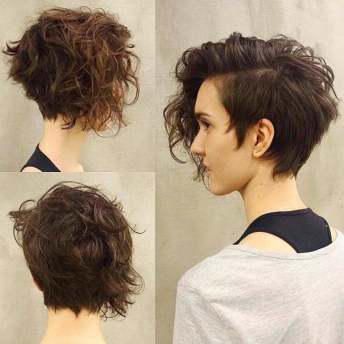 Long Curly Pixie Haircuts With Subtle Highlights (Photo 4 of 20)