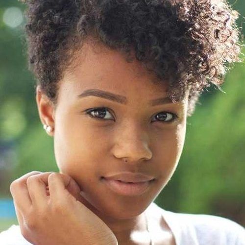 Short Haircuts For Naturally Curly Black Hair (Photo 12 of 20)