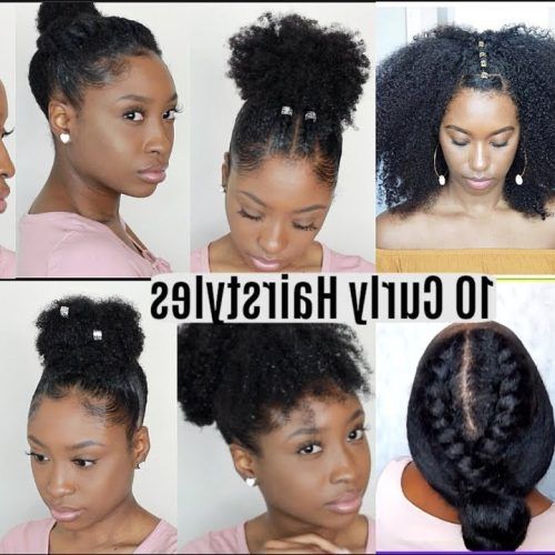 Naturally Curly Braided Hairstyles (Photo 12 of 20)