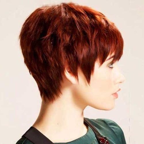 Short Haircuts For Thick Straight Hair (Photo 5 of 20)