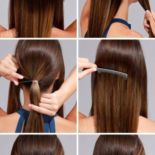 Stylish Low Pony Hairstyles With Bump (Photo 16 of 20)
