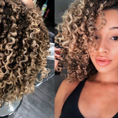 Curls And Blonde Highlights Hairstyles (Photo 8 of 20)