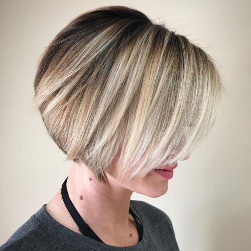 Neat Short Rounded Bob Hairstyles For Straight Hair (Photo 1 of 20)