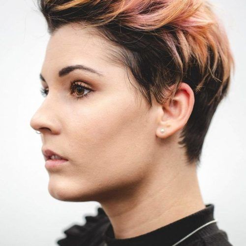 Styled Back Top Hair For Stylish Short Hairstyles (Photo 2 of 20)