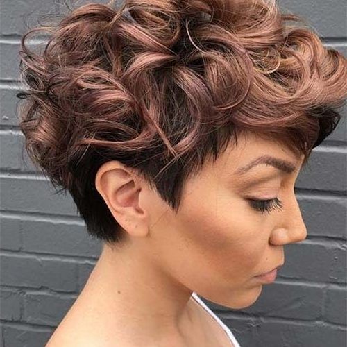 Growing-Out Pixie Haircuts For Curly Hair (Photo 14 of 15)