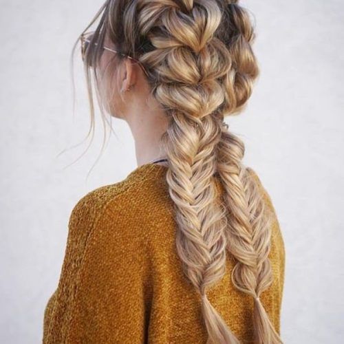 Double-Braided Single Fishtail Braid Hairstyles (Photo 15 of 20)
