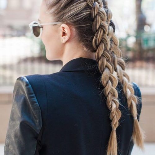 Loose Double Braids Hairstyles (Photo 3 of 20)