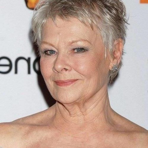 Short Hairstyles For Grey Haired Woman (Photo 12 of 20)