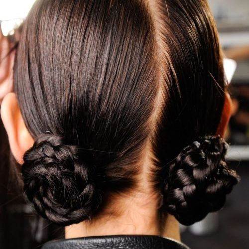 Twin Braid Updo Hairstyles (Photo 12 of 15)