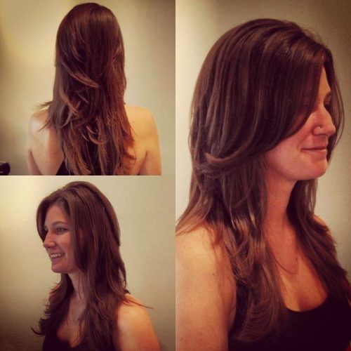 Long Hair Short Layers Hairstyles (Photo 8 of 15)