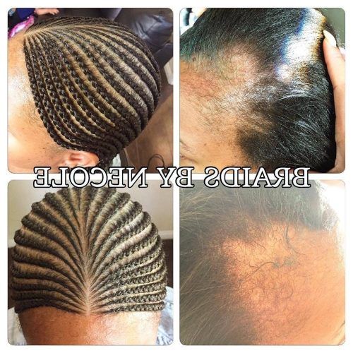 Cornrows Hairstyles For Thin Edges (Photo 9 of 15)
