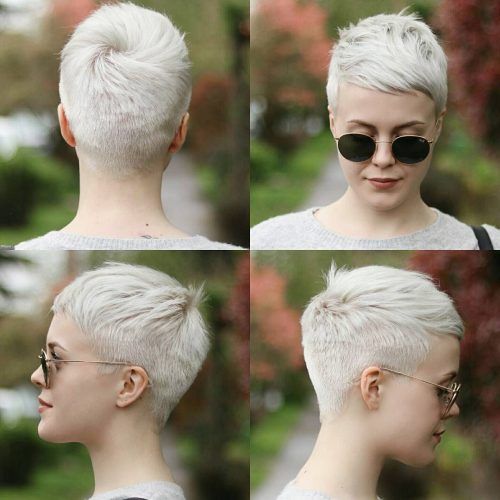 Cute Shaped Crop Hairstyles (Photo 9 of 20)
