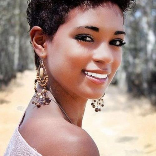 Black Women Natural Short Hairstyles (Photo 13 of 20)