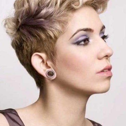 Short Hairstyles For Women Curly (Photo 10 of 15)