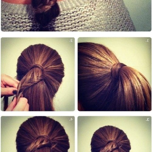 Twin Braid Updo Ponytail Hairstyles (Photo 14 of 20)