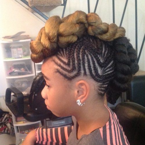 Side Braided Mohawk Hairstyles With Curls (Photo 14 of 20)