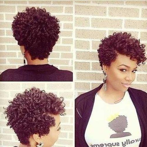 Curly Short Hairstyles Black Women (Photo 11 of 20)