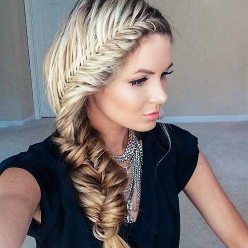 Long Hairstyles Plaits (Photo 13 of 15)
