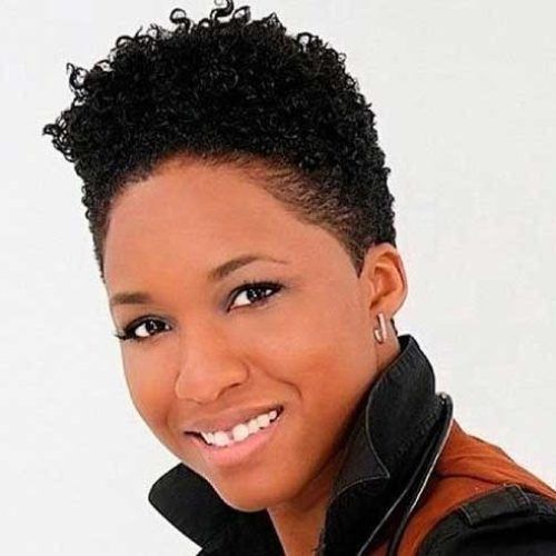 Black Women Natural Short Hairstyles (Photo 2 of 20)