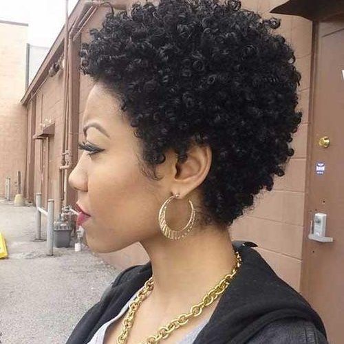 Short Hairstyles For Natural Black Hair (Photo 10 of 20)