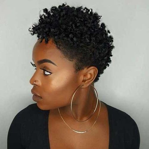 Black Women Natural Short Haircuts (Photo 3 of 20)