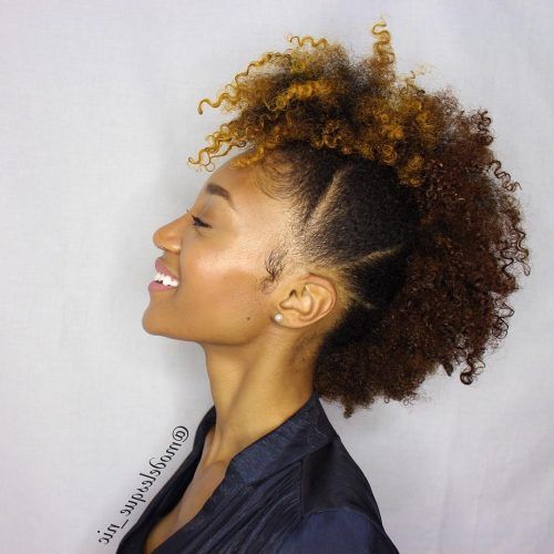 Naturally Curly Hairstyles (Photo 8 of 20)
