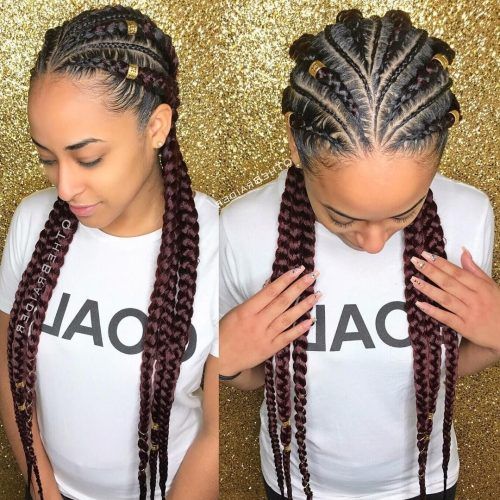 Thick And Thin Asymmetrical Feed-In Braids (Photo 12 of 15)