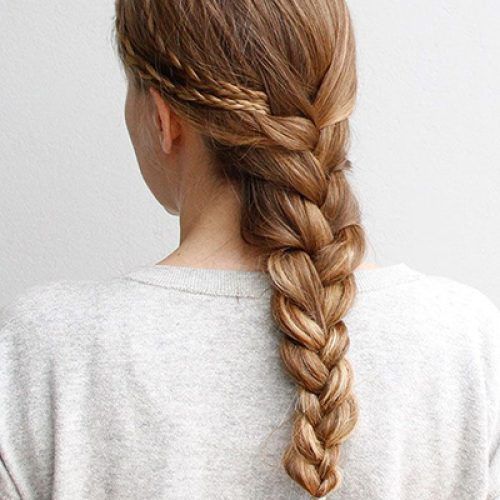 Defined French Braid Hairstyles (Photo 10 of 20)